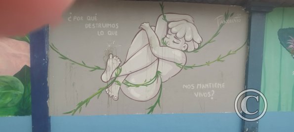 Mural on Av Francisco de Orellana near C. Bolivar (13)