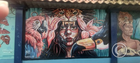 Mural on Av Francisco de Orellana near C. Bolivar (16)