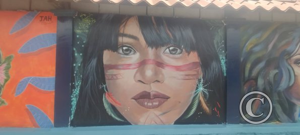 Mural on Av Francisco de Orellana near C. Bolivar (3)