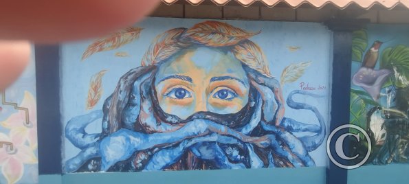 Mural on Av Francisco de Orellana near C. Bolivar (8)