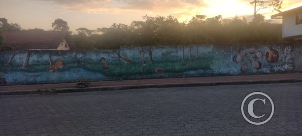 Mural on Av Gonzalez Suarez near C Ramiro Fernandez (4)