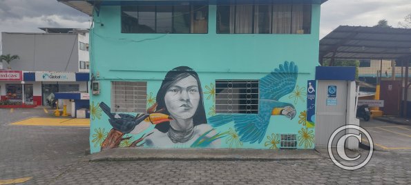 Mural on C 20 de Julio near C Cotopaxi