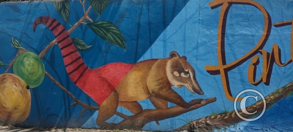 Mural on C. Bolivar near Av. Manabi (2)