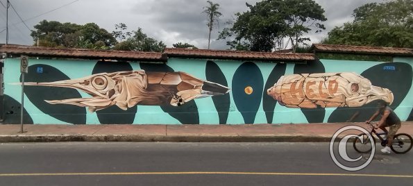 Mural on Ruta Panamericana near Citayacu (2)