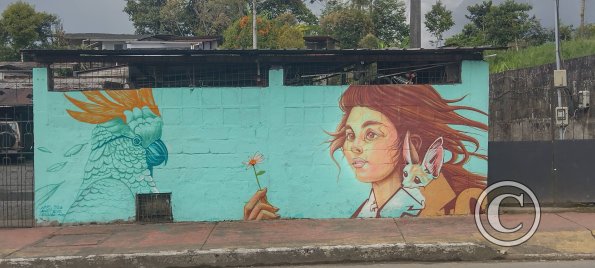 Mural on Ruta Panamericana near Citayacu