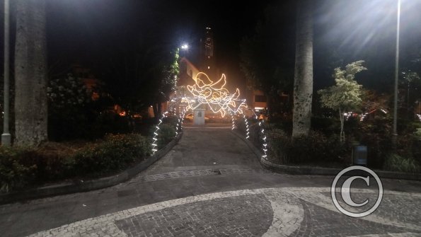 Parque Central Christmas LIghts (2)