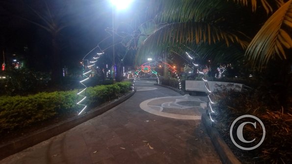 Parque Central Christmas LIghts (3)