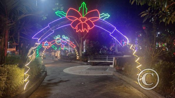 Parque Central Christmas LIghts