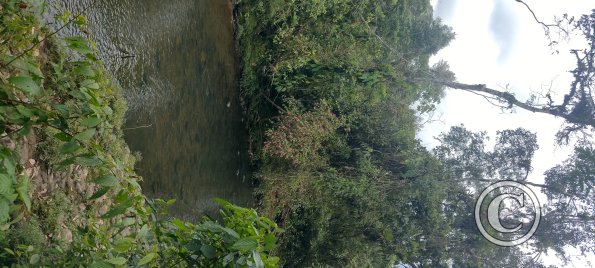 Puyo River (7)