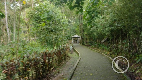 Riverside trail