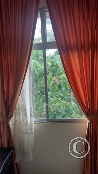 IMG_20221224_134509294_HDR
