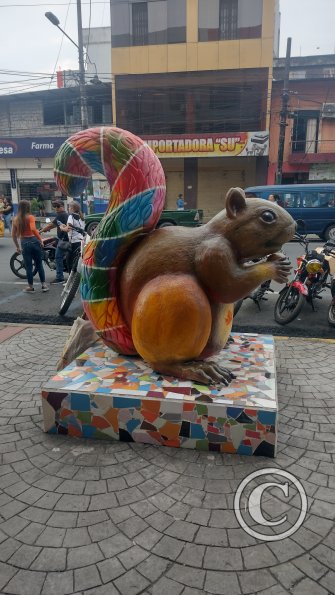 IMG_20221224_161937346_HDR