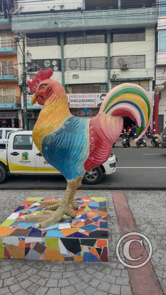 IMG_20221224_165052804_HDR