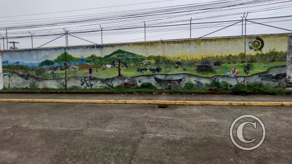 IMG_20221225_094134736_HDR