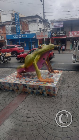 IMG_20221225_144940642_HDR