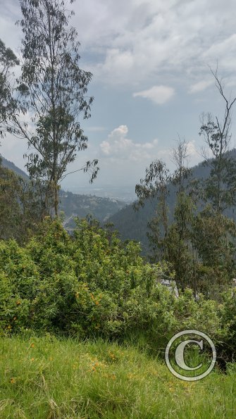 IMG_20221122_105739518_HDR