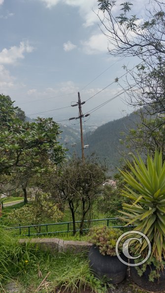 IMG_20221122_110630472_HDR