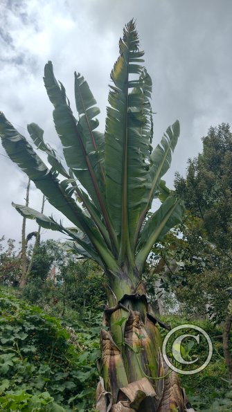 IMG_20221122_110959635_HDR