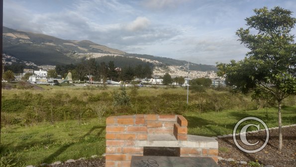 IMG_20221116_073756288_HDR