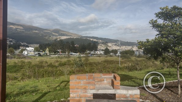 IMG_20221116_073820679_HDR