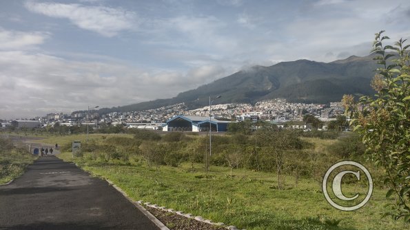 IMG_20221116_073836433_HDR