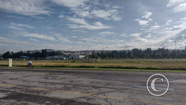 IMG_20221116_074855044_HDR