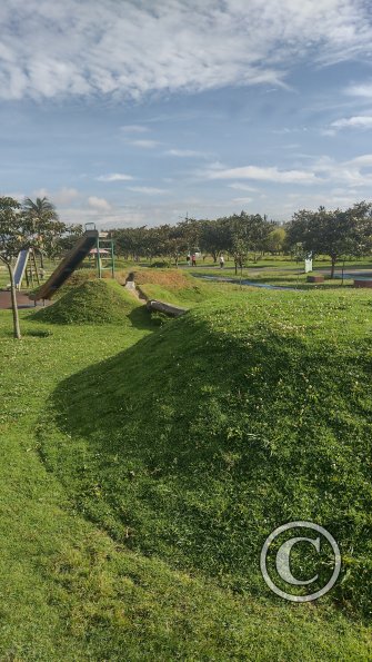 IMG_20221116_075404873_HDR