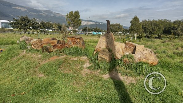 IMG_20221116_080041195_HDR