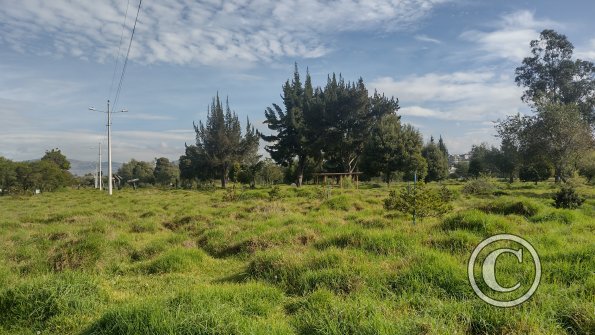 IMG_20221116_080046772_HDR