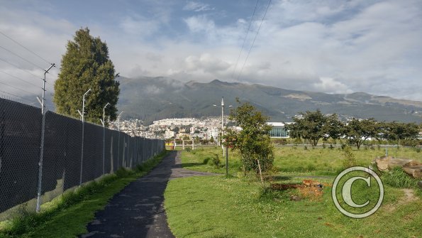 IMG_20221116_080054529_HDR