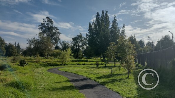 IMG_20221116_080106591_HDR