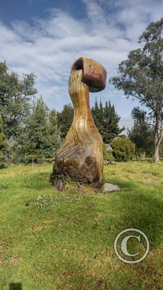 IMG_20221116_080239586_HDR