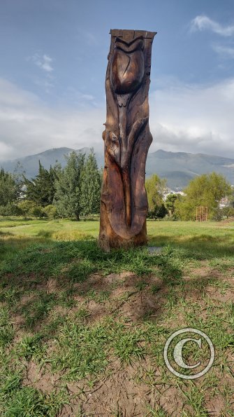 IMG_20221116_080720494_HDR