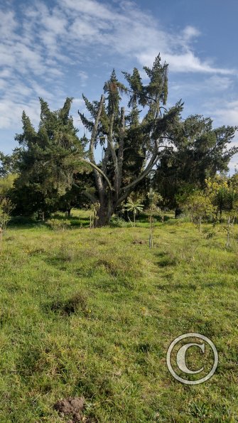 IMG_20221116_081135418_HDR