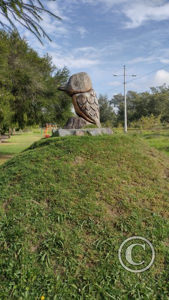 IMG_20221116_081311209_HDR