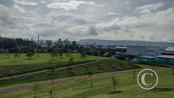 IMG_20221116_082008960_HDR