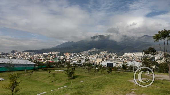 IMG_20221116_082032332_HDR