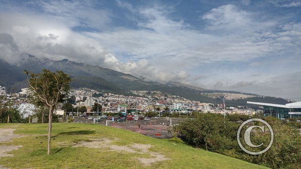 IMG_20221116_082051870_HDR