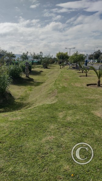 IMG_20221116_082853800_HDR
