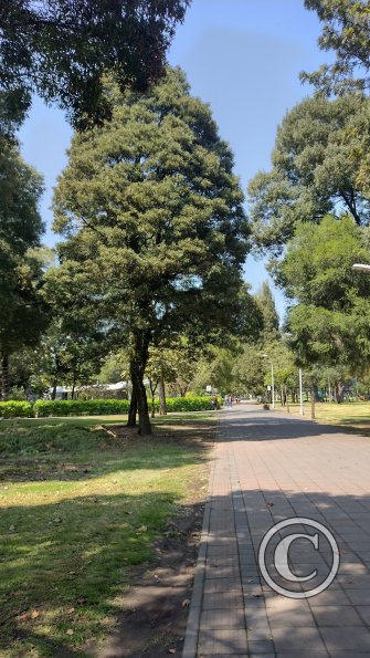 IMG_20221119_102151055_HDR