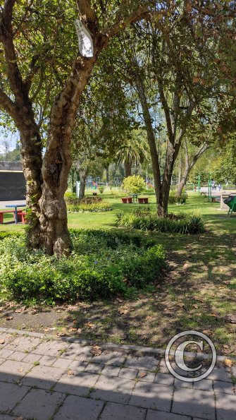 IMG_20221119_102308270_HDR