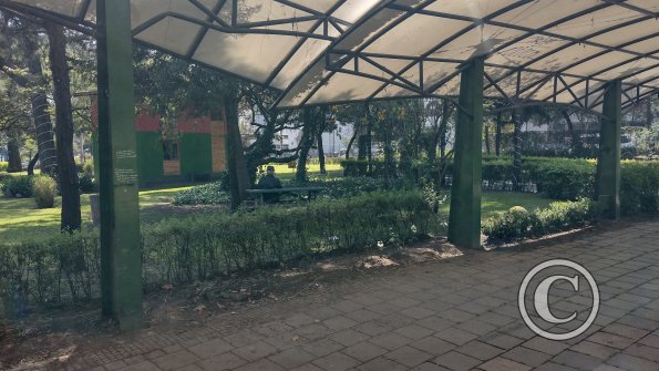 IMG_20221119_102320426_HDR