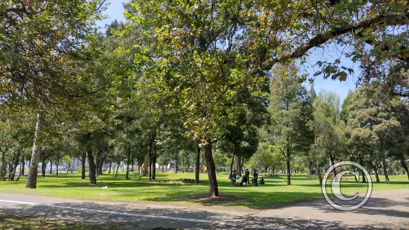 IMG_20221119_102543757_HDR