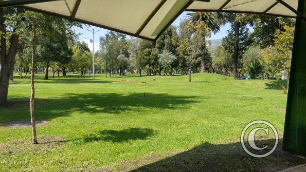 IMG_20221119_102635883_HDR
