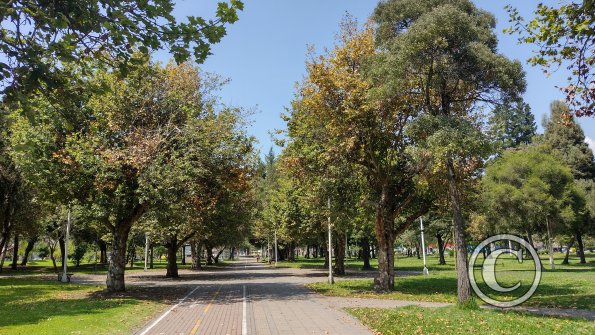 IMG_20221119_102944826_HDR