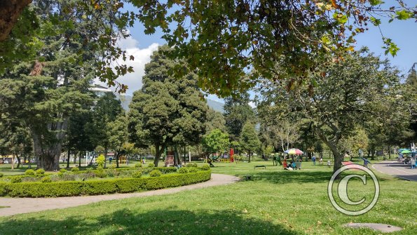 IMG_20221119_102955776_HDR