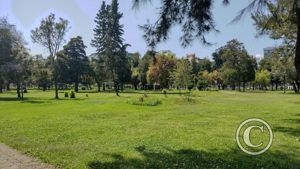 IMG_20221119_103353149_HDR