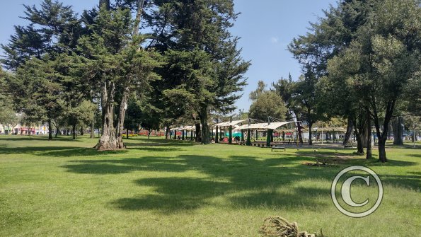 IMG_20221119_104101376_HDR