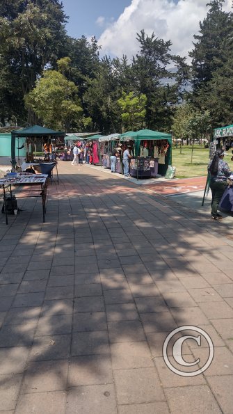 IMG_20221119_104527574_HDR