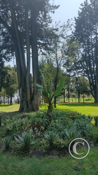 IMG_20221119_105347109_HDR